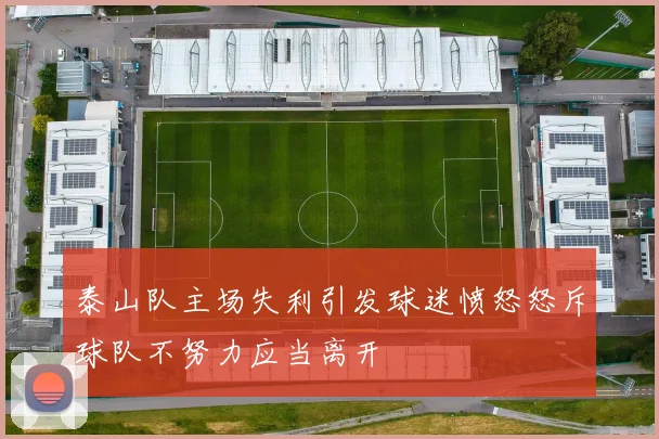 泰山队主场失利引发球迷愤怒怒斥球队不努力应当离开