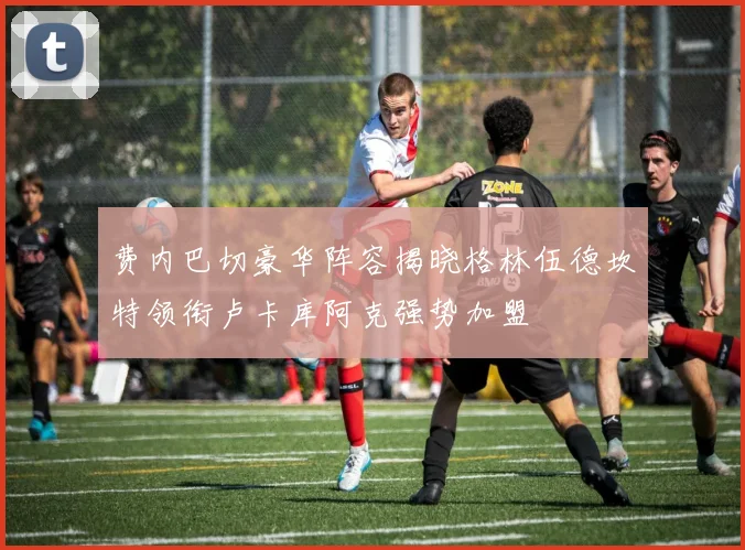 费内巴切豪华阵容揭晓格林伍德坎特领衔卢卡库阿克强势加盟