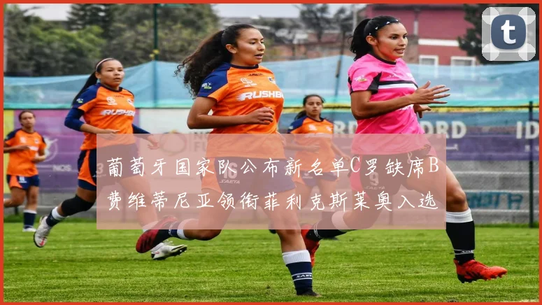 葡萄牙国家队公布新名单C罗缺席B费维蒂尼亚领衔菲利克斯莱奥入选